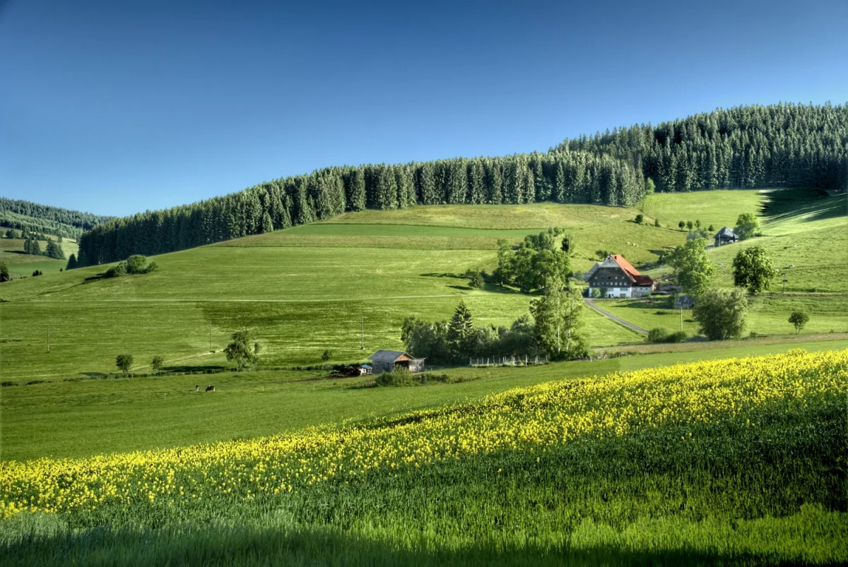 Klimatyzacja w Grodzisku Mazowieckim: przewodnik wyboru, montażu, kosztów, firm lokalnych i serwisu