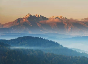 Przewodnik: jak przygotować sprawozdanie NWIS krok po kroku, wzory, terminy i typowe błędy